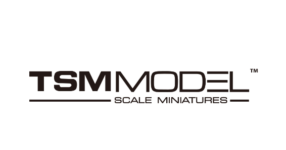 TSM MODEL